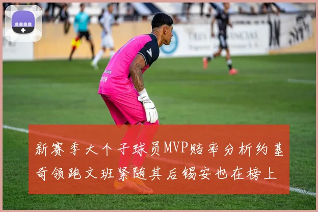 新赛季大个子球员MVP赔率分析约基奇领跑文班紧随其后锡安也在榜上