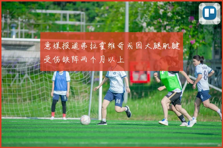 意媒报道弗拉霍维奇或因大腿肌腱受伤缺阵两个月以上