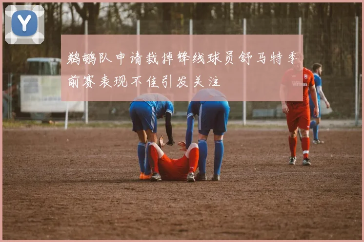 鹈鹕队申请裁掉锋线球员舒马特季前赛表现不佳引发关注