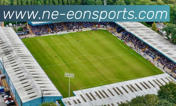 多媒体互动体验